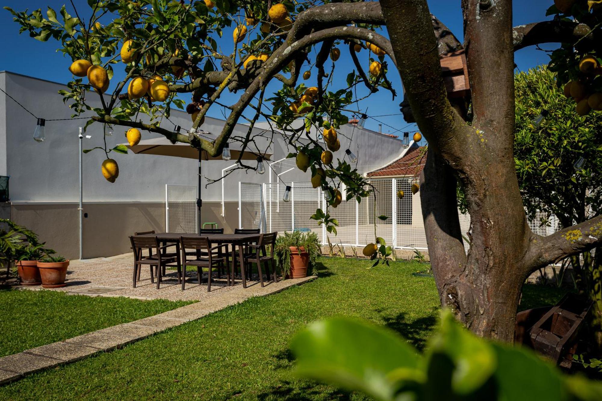Willa 714 Mugnano House Aveleda Vila do Conde Zewnętrze zdjęcie